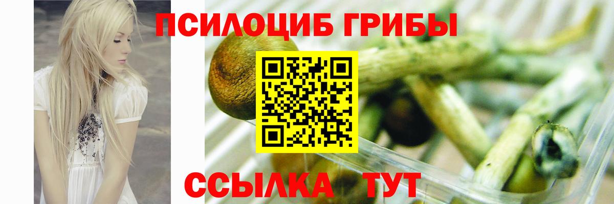 Галлюциногенные грибы прущие грибы Усинск
