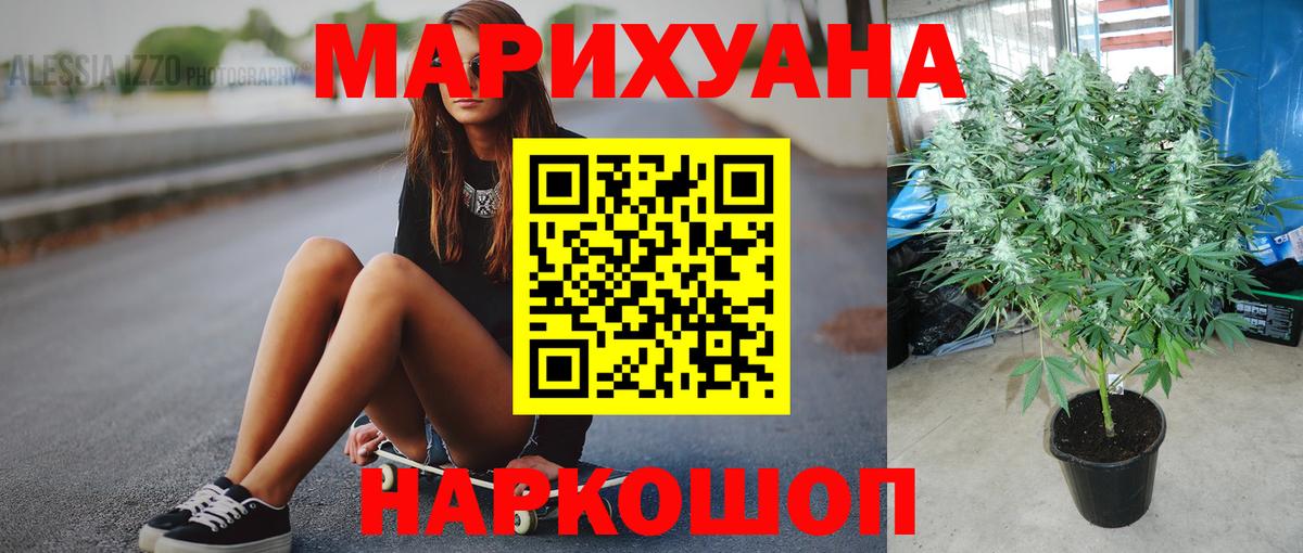 Конопля индика  Бошки Шишки VHQ  Вход с VPN  Усинск 